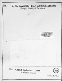 Image Associated With the Occurence